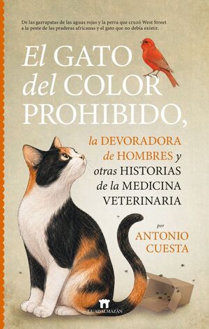 GATO DEL COLOR PROHIBIDO, EL